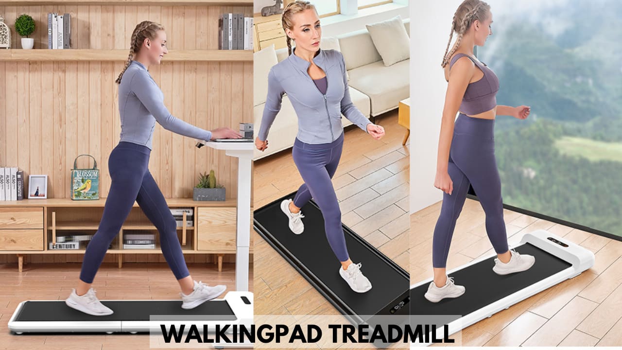 walkingpad treadmill