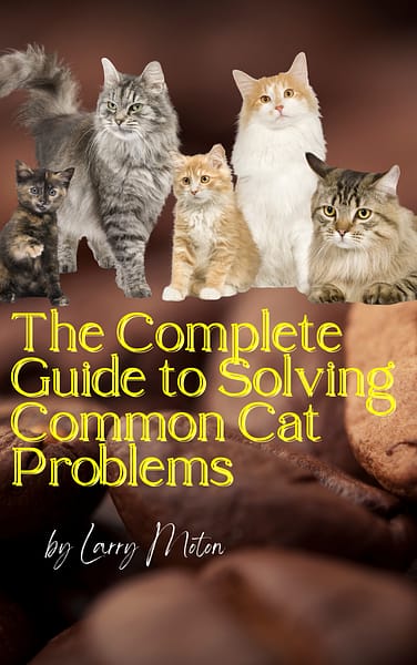 The Complete Guide To Solving Common Cat Problems (1)